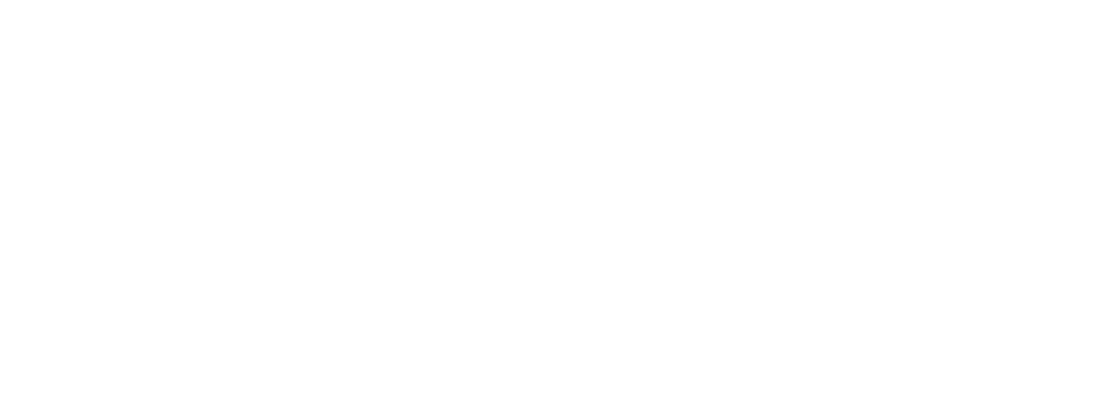 BludauPartners | PERMAH