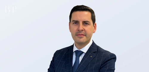 BludauPartners | Executive consultant and manager Stephan Herl